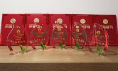 “创世大发杯”浙江省节地生态安葬设计作品奖