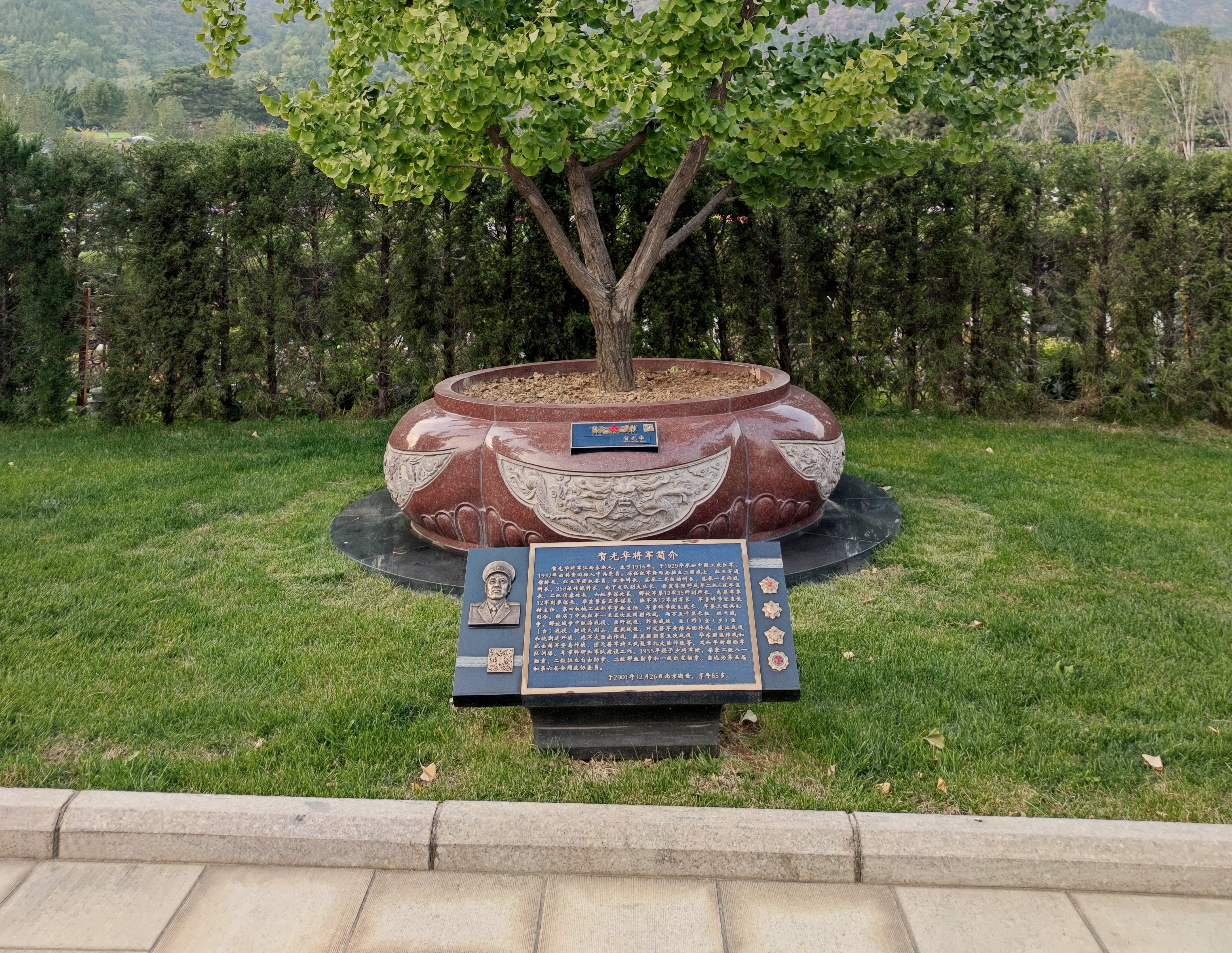 贺光华将军安息之地：九龙坛树葬