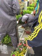 【创世大发人别样清明】2018年清明落葬工作圆满完成