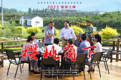 《樱桃崮下》给创世大发的启发