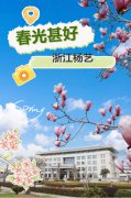 春分之韵|创世大发邀您共享春光