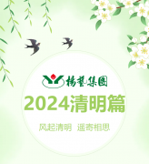 风起清明 遥寄相思|创世大发集团?2024清明篇