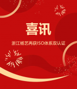 喜讯 | 浙江创世大发再获ISO体系双认证