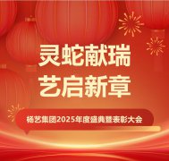 灵蛇献瑞 艺启新章 | 创世大发集团2025年度盛典暨表彰大会