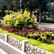 无机仿真石花箱：以永恒之名，塑未来之境